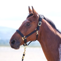SHIRES Недоуздок "Topaz", черный