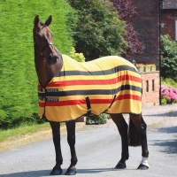 SHIRES TEMPEST Попона флисовая в полоску "Original Newmarket", желтый-черный-красный